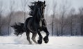 Beautiful black stallion galloping in winter field, motion blur Royalty Free Stock Photo