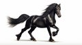 Beautiful black stallion with a magnificent mane Royalty Free Stock Photo