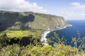 Beautiful black stone beach - waipio valley, hawaii