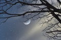 Beautiful black tree and blue waning moon night Royalty Free Stock Photo