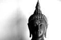 Beautiful black and white face of buddha