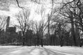 Beautiful Black and White Central Park Winter Landscape with Snow and the Midtown Manhattan Skyline in New York City Royalty Free Stock Photo