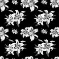 Beautiful black and white lily floral seamless pattern. Bouquet of flowers. Floral print. Marker drawing.