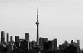 Beautiful black and white photo of the Toronto skyline