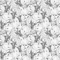 Beautiful black and white seamless pattern in alstroemeria with contours.