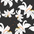 Beautiful black and white seamless pattern with lilies. Hand-drawn contour lines. Royalty Free Stock Photo