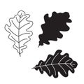 Beautiful black and white set of autumn oak leaves. Line art drawing leaf contur. Hand drawn vector illustration.