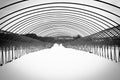 Beautiful black and white shot of a snowy roadway with metallic arches