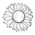 Beautiful black and white sunflower isolated on white background Royalty Free Stock Photo