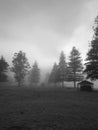 Beautiful black and white view of a park with fog, dark clouds and trees in the background Royalty Free Stock Photo