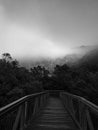 Beautiful black and white view of suspension bridge with light clouds, fog, mountains and trees in the background Royalty Free Stock Photo