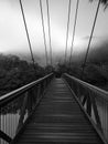Beautiful black and white view of suspension bridge with light clouds, fog, mountains and trees in the background Royalty Free Stock Photo