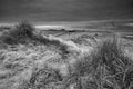 Beautiful black and white Winter landscape of rare frozen frsoty grass on sand dunes on Northumberland beach in Northern England Royalty Free Stock Photo