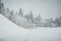 Beautiful black and white winter landscape with snow covered road and trees during snowfall on winter day Royalty Free Stock Photo