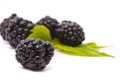 Beautiful blackberries Royalty Free Stock Photo