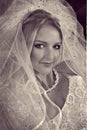 Beautiful blond bride Royalty Free Stock Photo