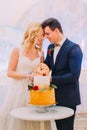 Beautiful blond bride and groom cut the wedding cake together Royalty Free Stock Photo