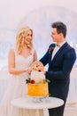 Beautiful blond bride and groom cut the wedding cake together Royalty Free Stock Photo