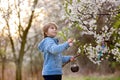 Beautiful blond child, boy, holding twig, braided whip made from pussy willow, traditional symbol of Czech Easter used for