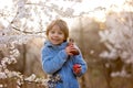 Beautiful blond child, boy, holding twig, braided whip made from pussy willow, traditional symbol of Czech Easter used for