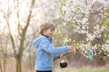 Beautiful blond child, boy, holding twig, braided whip made from pussy willow, traditional symbol of Czech Easter used for