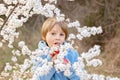 Beautiful blond child, boy, holding twig, braided whip made from pussy willow, traditional symbol of Czech Easter used for