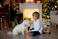 Beautiful blond child, young school boy, playing in a decorated home with knitted toys Royalty Free Stock Photo