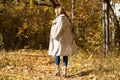 A beautiful blond girl in an autumn park Royalty Free Stock Photo