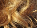 Beautiful blond hair of an intense color and very well groomed