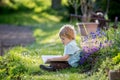 Beautiful blond toddler child, cute boy in shirt, reading book in garden on sunset Royalty Free Stock Photo