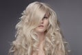 Beautiful Blond Woman. Curly Long Hair Royalty Free Stock Photo