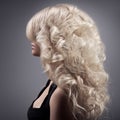 Beautiful Blond Woman. Curly Long Hair Royalty Free Stock Photo