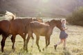 A beautiful blond woman playing with horses in a field. Royalty Free Stock Photo