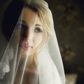 Beautiful blonde bride in make-up and veil in a stylish white dr Royalty Free Stock Photo