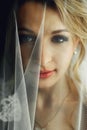 Beautiful blonde bride in make-up and veil in a white dress close-up Royalty Free Stock Photo