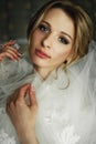 Beautiful blonde bride in make-up and veil in a white dress close-up Royalty Free Stock Photo