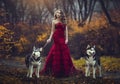 A beautiful blonde girl in a chic red dress, walking with two husky dogs in an autumn forest.