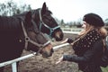 Beautiful blonde girl feeds from a hand a big brown horse Royalty Free Stock Photo