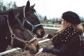 Beautiful blonde girl feeds from a hand a big brown horse Royalty Free Stock Photo