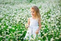 Beautiful blonde girl laughing in a field of daisies at sunset with a bouquet of camomiles Royalty Free Stock Photo