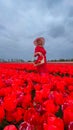 Beautiful blonde girl in red dress and white straw hat with wicker basket on colorful tulip fields. Royalty Free Stock Photo