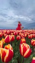 Beautiful blonde girl in red dress and white straw hat with wicker basket on colorful tulip fields. Royalty Free Stock Photo