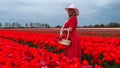 Beautiful blonde girl in red dress and white straw hat with wicker basket on colorful tulip fields. Royalty Free Stock Photo