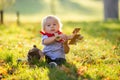 Beautiful blonde two years old toddler boy, playing with wooden plane and teddy bear in the park on sunset Royalty Free Stock Photo