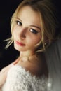 Beautiful blonde wedding bride in make-up and veil in a white dr Royalty Free Stock Photo