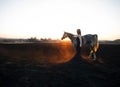 Beautiful blonde woman in black glittering evening dress with dapple grey horse on burnt field at sunset. Royalty Free Stock Photo