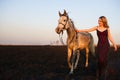 Beautiful blonde woman in dark red glittering evening dress leading a dappled grey Arabian mare on a black burnt field at sunset. Royalty Free Stock Photo