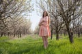 Beautiful blonde woman in pink dress on the road in the flowering garden in spring Royalty Free Stock Photo