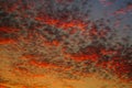 Beautiful bloody red skyline at sundown with different patterns for background, details Royalty Free Stock Photo