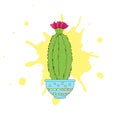 The beautiful blooming cactus on the white. Vector illustration